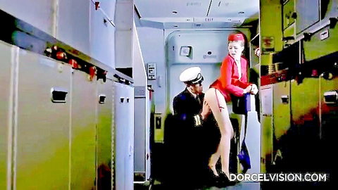 Pilot fucks flight attendant from behind in airplane galley with skirt up and stockings