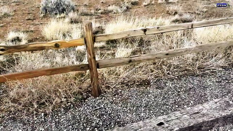 Crystal Clark as stepmom in outdoor desert fence scene, teasing help