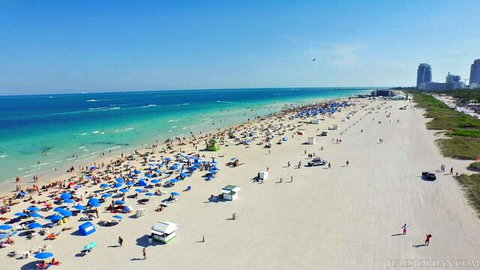 Aerial view of crowded sunny Miami beach with bikini-clad hotties sunbathing under blue umbrellas