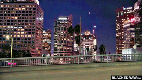 Elena Koshka Last Night in LA - Vibrant nighttime LA skyline view