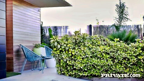 Luxurious empty outdoor patio with blue chairs lush plants and Private.com watermark