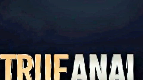 True Anal studio logo for raw anal sex videos with perfect curves