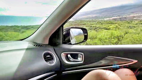 Mi Ha Doan in car sex during vacation ride