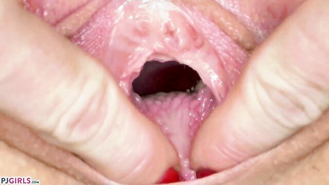 Fingers spreading wide open gaping pink wet pussy exposing inner vaginal walls