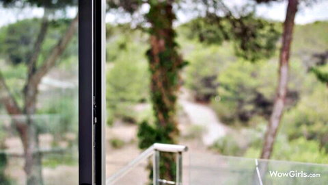 Scenic lush green trees and winding path viewed through modern glass window frame