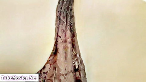 Closeup of intricate black lace fabric with purple hues in sensual lingerie tease