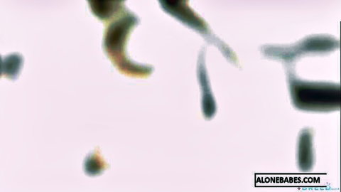 Blurry motion-blurred adult scene with alonebabes.com watermark visible
