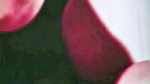 Vintage porn thumbnail of Susan & Becky with ample pink-tinted breasts exposed