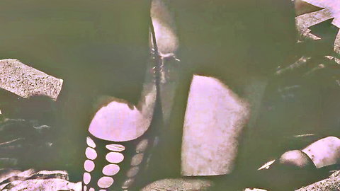 Lesbian scene with woman in fishnet stockings, legs spread in submission pose