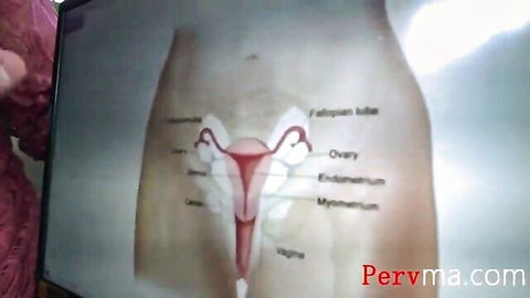 Olive Glass busty MILF teaches sex education with female anatomy diagram