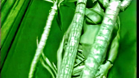 Julia Channel vintage champagne blowjob with cumshot in steamy green-tinted scene