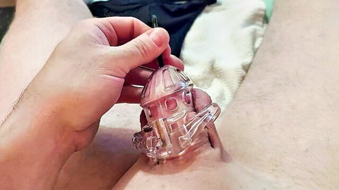 Hand holding pink chastity cage locked on flaccid cock closeup