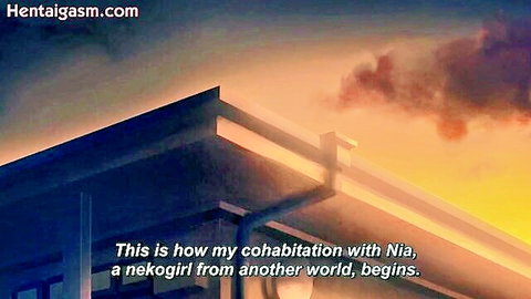 Hentai scene: Cohabitation begins with Nia, nekogirl from another world, at sunset