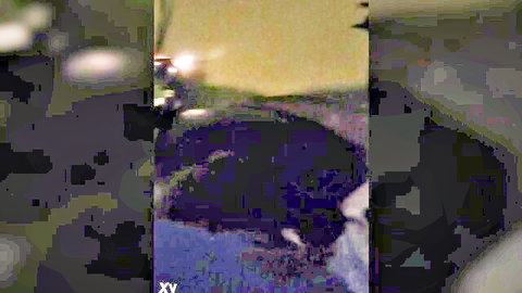 Blurry thumbnail of intense oral sex scene with neighbor, hardcore fellatio action