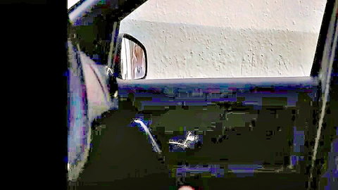 Woman flashing bare ass beside open car door in public